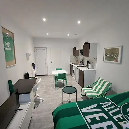Apartment Cosy -allez Les Verts-