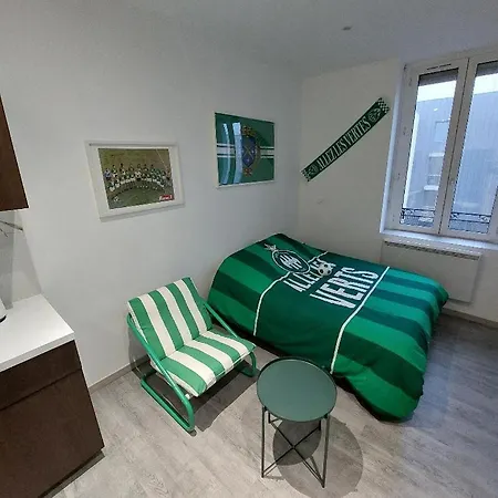 Apartment Cosy -allez Les Verts-